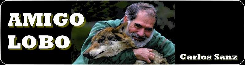 Carlos Sanz Amigo Lobo